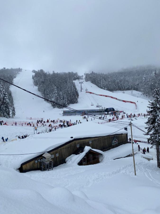 Wild Beauty Apartment-Modern Mountain 2 Kolašin المظهر الخارجي الصورة