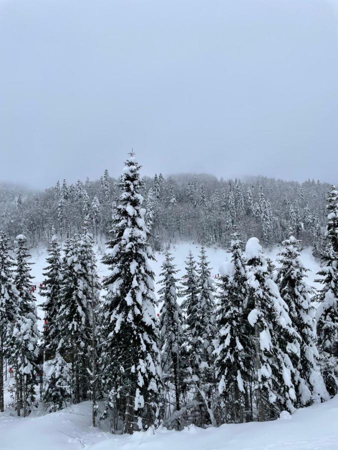 Wild Beauty Apartment-Modern Mountain 2 Kolašin المظهر الخارجي الصورة